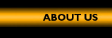 About Little Dude Films